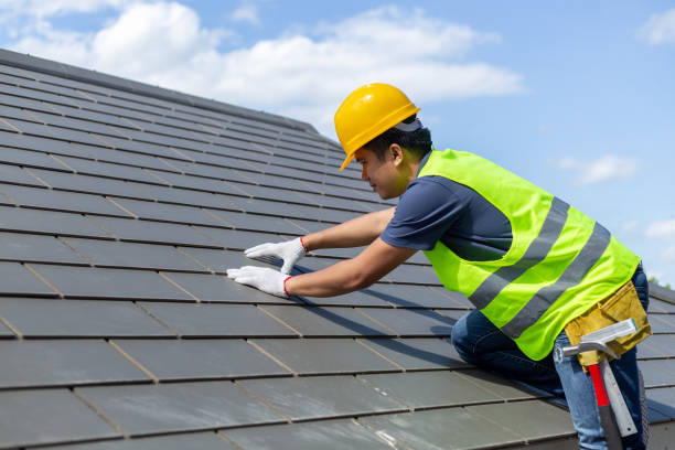 Best Roof Gutter Cleaning  in East Lake Orient Park, FL